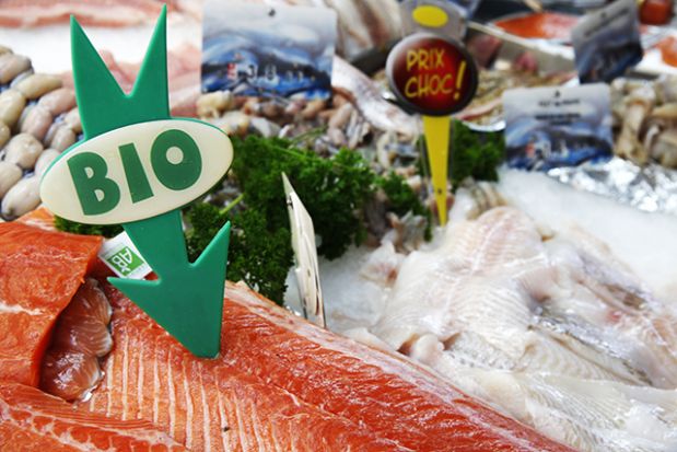 5 Best Supermarkets for Sustainable Seafood