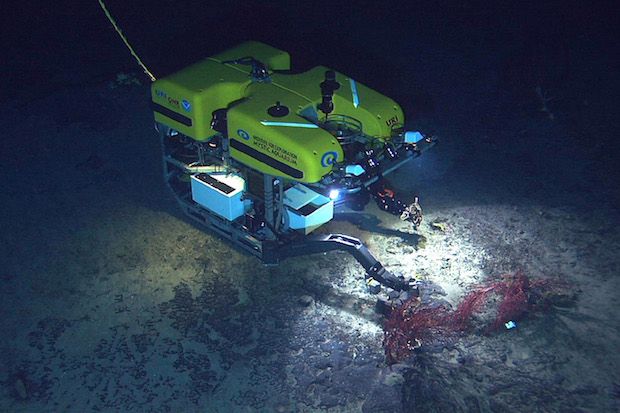 Deep Ocean Explorers