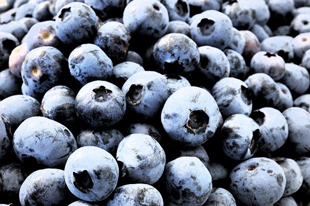 6. Blueberry