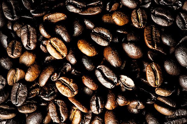 5. Coffea (coffee)