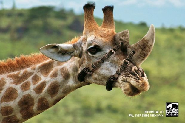 9 Brilliant Ads That Fight Animal Cruelty | TakePart