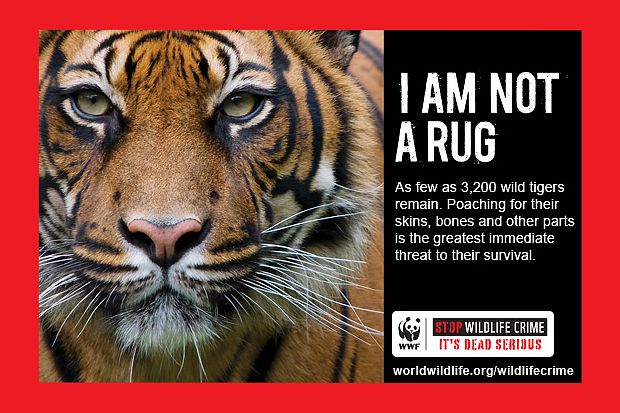 9 Brilliant Ads That Fight Animal Cruelty | TakePart
