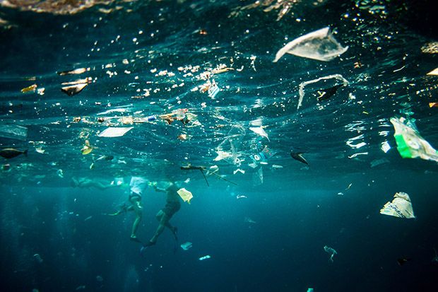 Divers Floating Amid Abundant Plastic Pollution