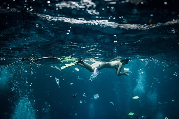 Snorkeler Swims Amid Plastic Trash