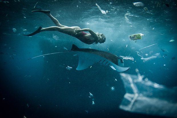 Diver and Manta Ray Swim Through a Flurry of Plastic Pollution